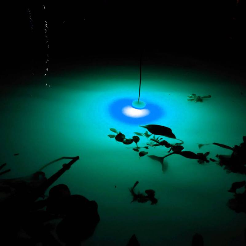 Mini Fishing Attraction Lamp G - đánh giá và giá Fishing Boat Navigation Light