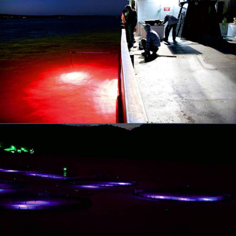 Mini Fishing Attraction Lamp G - đánh giá và giá Fishing Boat Navigation Light
